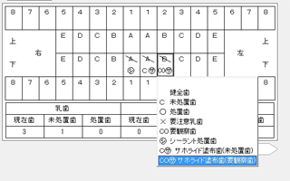 えがお4_歯科入力