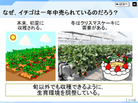 デジタル提示教材 カンタン 生物育成 Ver 2 スズキ教育ソフト